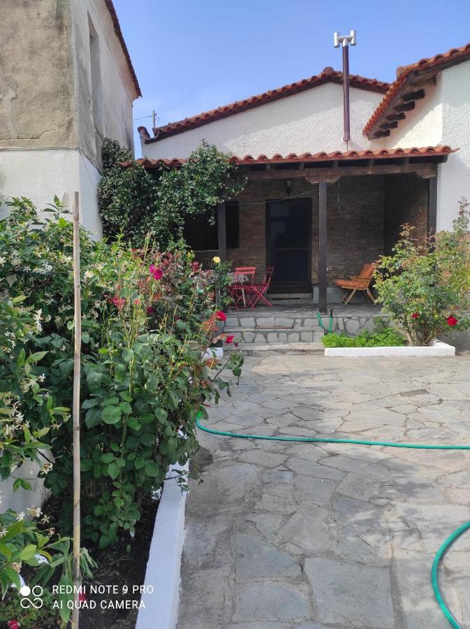 Detached House In Sykia Villa Dış mekan fotoğraf