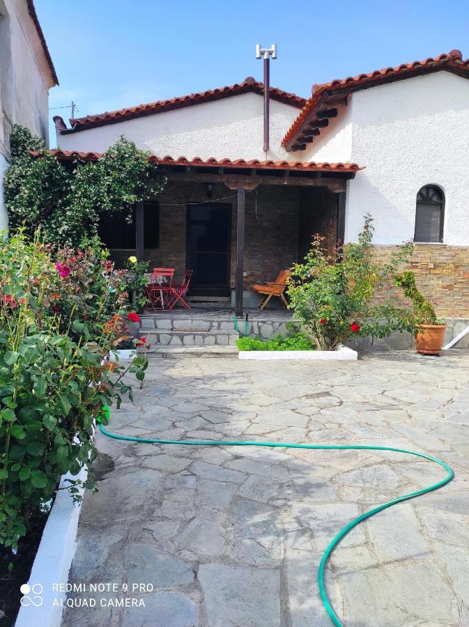 Detached House In Sykia Villa Dış mekan fotoğraf