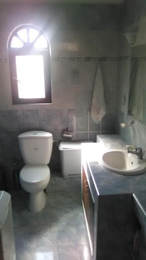 Detached House In Sykia Villa Dış mekan fotoğraf